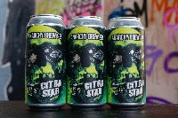 CITRA STAR - 4.1% IPA - Anarchy Brew Co.